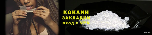 тгк Новодвинск